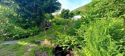 Permaculture garden